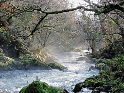 471 MISTY RIVER 1.jpg
